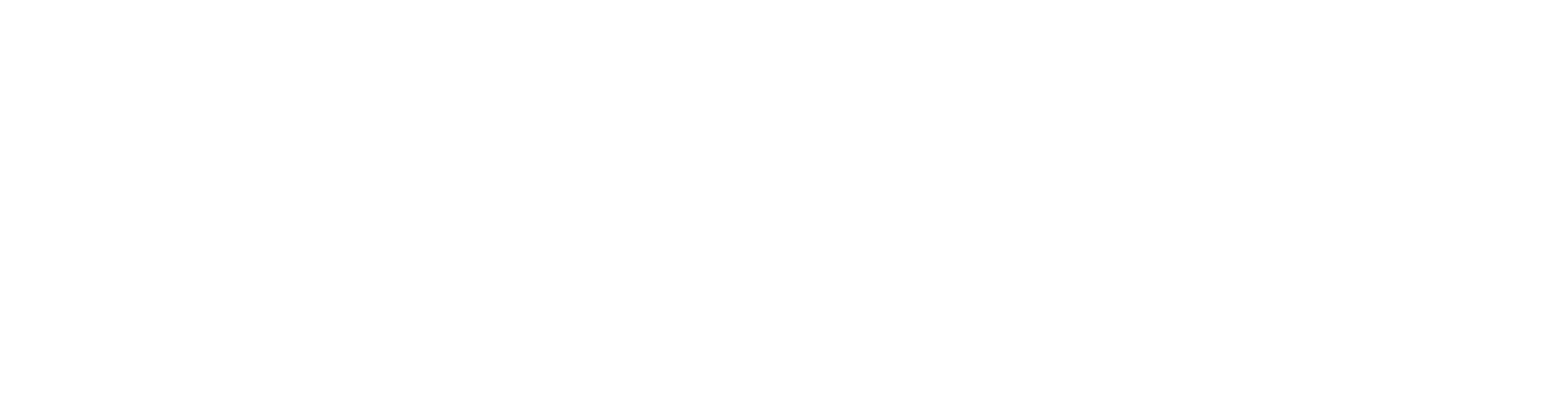 BNB chain logo